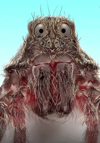 Chainsawrezezzz GIF