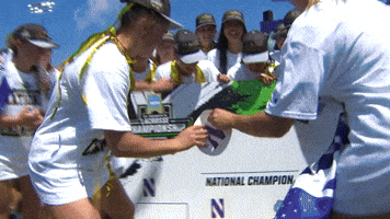 Celebrate National Champions GIF by Northwestern Athletics
