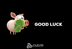My Friend Good Luck GIF by CLEVIS