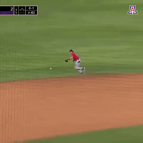 Baseball Wildcats GIF by Arizona Athletics