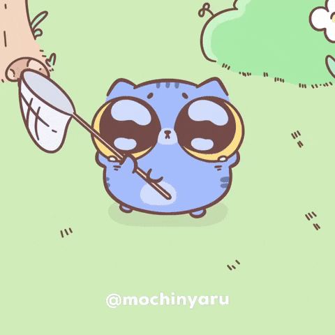 Cat GIF