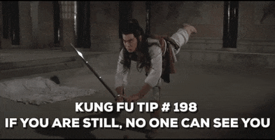 martial arts tips GIF by Shaw Brothers