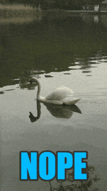 head in the water