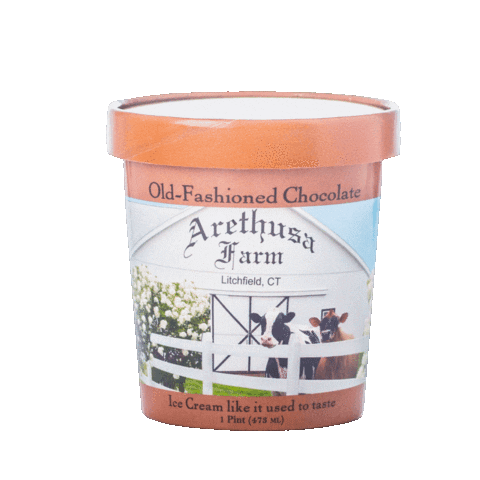 Ice Cream Chocolate Sticker by Arethusa Farm
