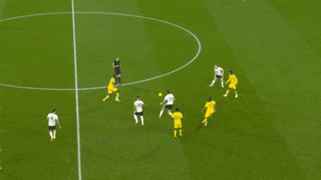 GIF by Fulham FC