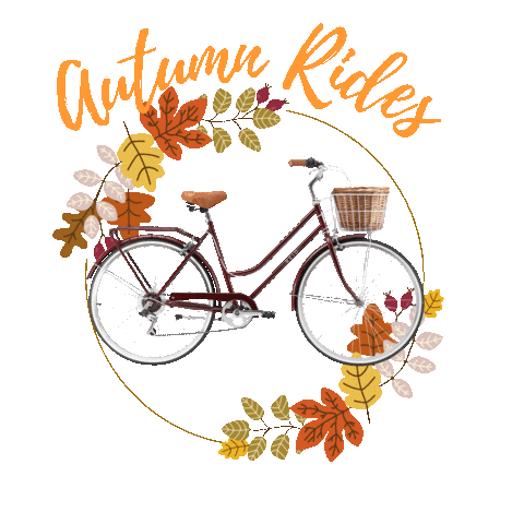 Fall Bicycle Sticker by Reid