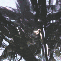 200.gif?cid=fc005b080d76caeef96b8d593a516b870933d1c516652386&rid=200.gif&ct=g