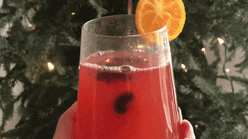 GIF by Ohza Mimosas