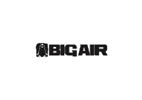 bigairshop Sticker
