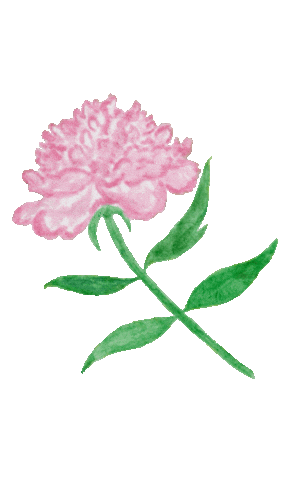 Watercolor Sticker