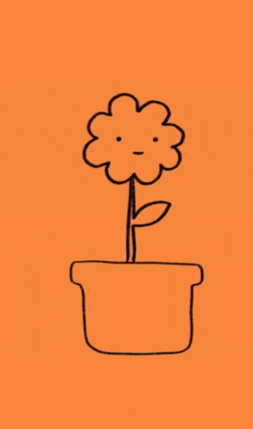 Flower GIF