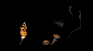Mermaid Jellyfish GIF by GwenCharles