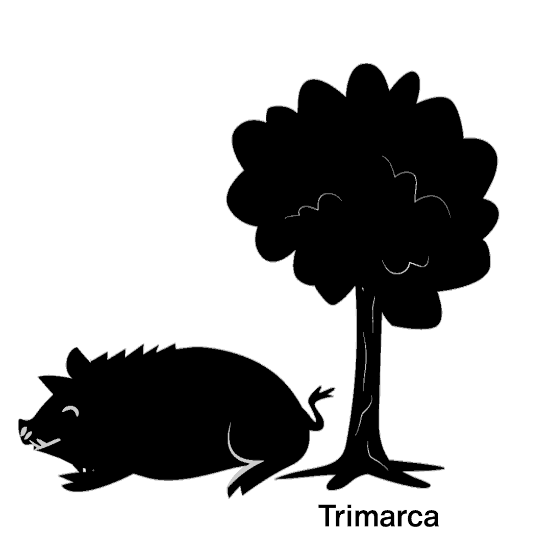 Trimarca AG Sticker
