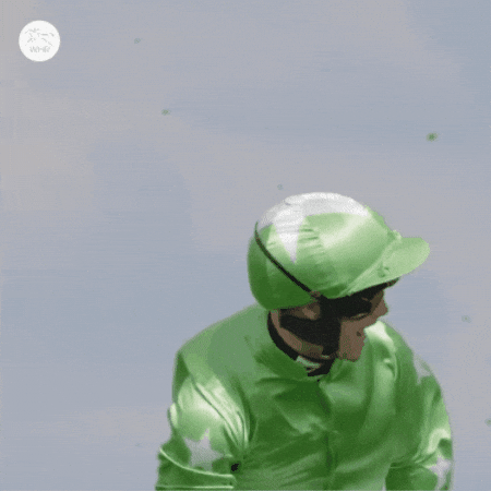 Whr Yes GIF by World Horse Racing
