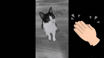 Stock Market Stocks GIF