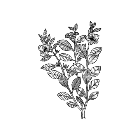 Sticker by Tierra Baja