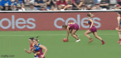 Aflw GIF