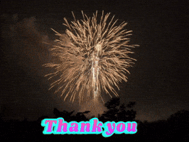 Fireworks Thank You GIF