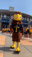 Kent State Flash GIF by Kent State Football