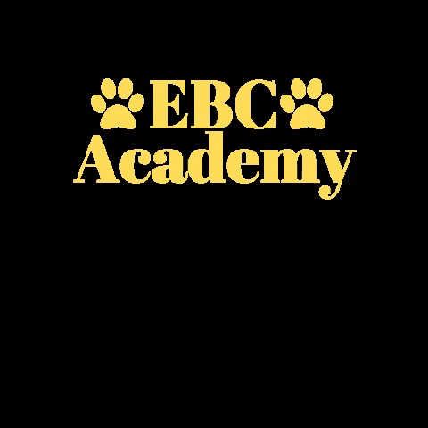 School Cougars GIF by Edward B Cole Sr Academy