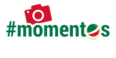 Italian B Sticker by Benedetti's Pizza