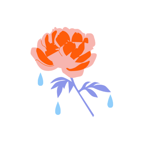 Flower Rose Sticker by caroline drogo