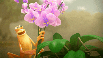 tatprod movie film flowers frog GIF