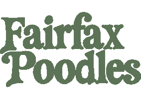 Poodle Sticker by Fairfax Poodles