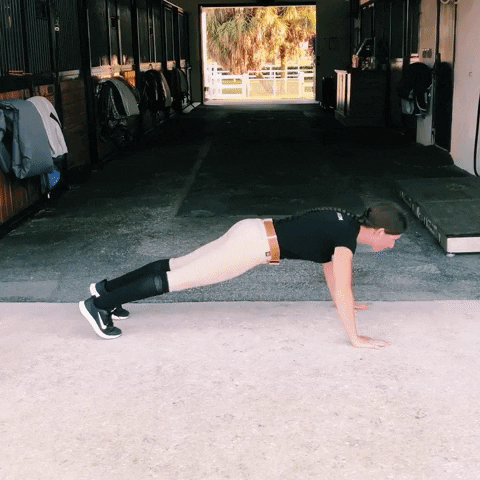 The Fit Equestrian GIF