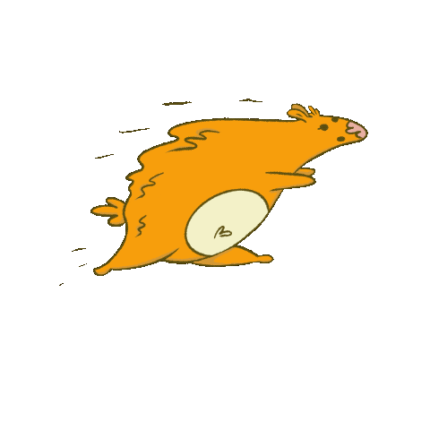 Sport Run Sticker