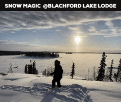 Snow Magic Blachford Teamwil-Sun GIF