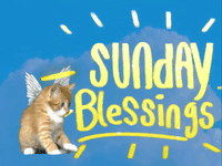 Sunday GIFs - Get the best GIF on GIPHY Sunday GIFs - Get the best GIF on GIPHY