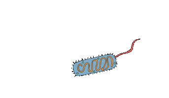 Biology Sticker