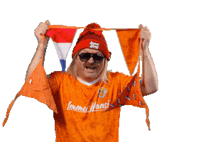 Nederlands Elftal Ek Sticker by Immer Hansi
