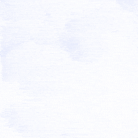 Election 2020 Every Vote Counts GIF by Creative Courage