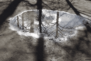 Art GIF