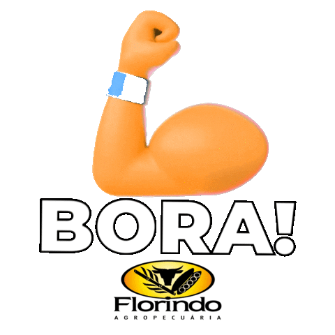 Grupo Florindo Agropecuária Sticker