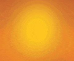 Orange Box GIF by Chicken Licken SA