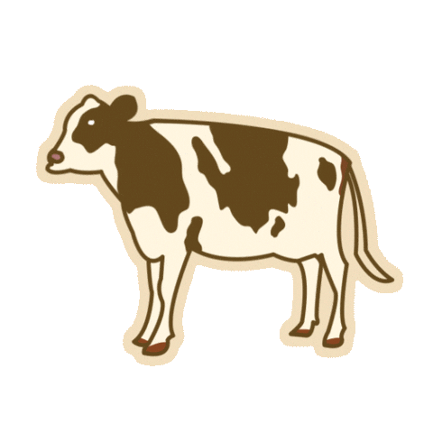 Ecd24 Sticker by alsayegh