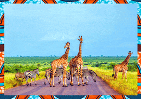 Lutz Mobel GIF by XXXLutz Österreich