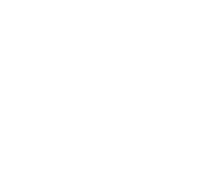 Vera Spirits Sticker