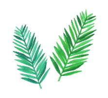 Summer Sticker