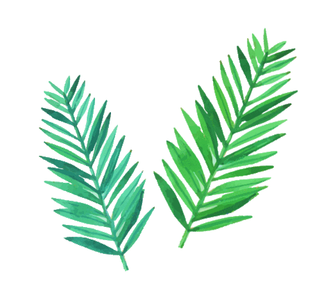 An animated image of 18