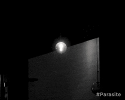 Black And White Parasite GIF by Madman Films