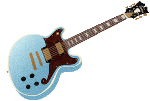 Rock On Summer Sticker by DANGELICOGUITARS