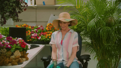 Surfaces surfaces sunday best GIF