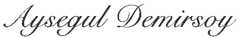 Aysegul Demirsoy Sticker
