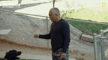 Cesar Millan Dog GIF by National Geographic Channel