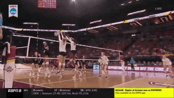 volleyball stanford GIF by NCAA Championships