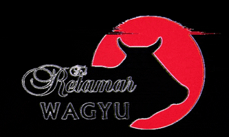 WagyuRetamar carne wagyu wagyuretamar wagyumafia GIF